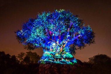 Orlando, Florida. 16 Aralık 2019. Animal Kingdom 'da Noel mevsiminde Yaşam Ağacı Uyanışı (121)).