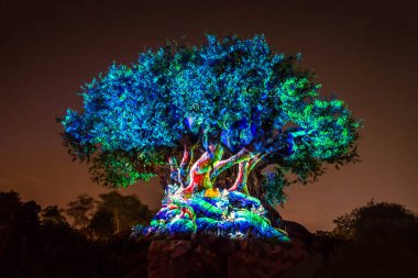 Orlando, Florida. 16 Aralık 2019. Animal Kingdom 'da Noel mevsiminde Yaşam Ağacı Uyanışı (125)