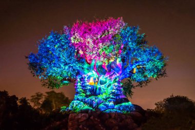 Orlando, Florida. 16 Aralık 2019. Animal Kingdom 'da Noel mevsiminde Yaşam Ağacı Uyanışı (136))