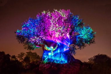 Orlando, Florida. 16 Aralık 2019. Animal Kingdom 'da Noel mevsiminde Yaşam Ağacı Uyanışı (137)).