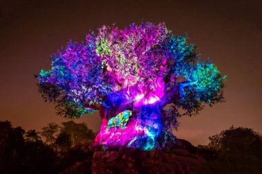 Orlando, Florida. 16 Aralık 2019. Animal Kingdom 'da Noel mevsiminde Yaşam Ağacı Uyanışı (139)).