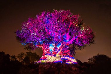 Orlando, Florida. 16 Aralık 2019. Animal Kingdom 'da Noel mevsiminde Yaşam Ağacı Uyanışı (150)).