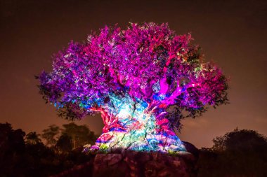 Orlando, Florida. 16 Aralık 2019. Animal Kingdom 'da Noel mevsiminde Yaşam Ağacı Uyanışı (149))