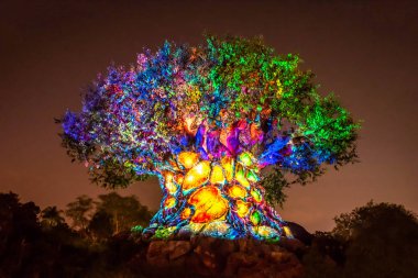 Orlando, Florida. 16 Aralık 2019. Animal Kingdom 'da Noel mevsiminde Yaşam Ağacı Uyanışı (132).