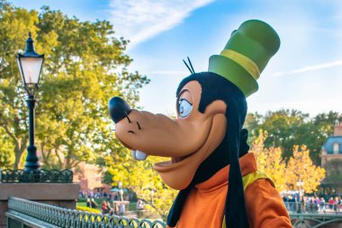 Orlando, Florida. 18 Aralık 2019. Epcot 'ta Güzel Çatlak (13).