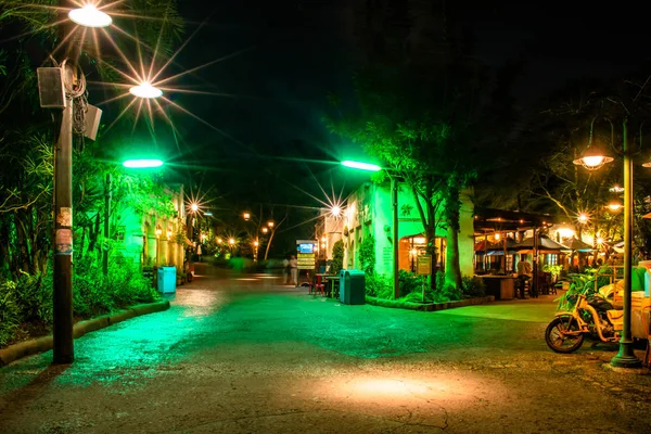 Orlando Florida Dezember 2019 Beleuchtete Vintage Street Afrika Land Animal — Stockfoto