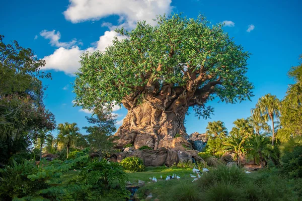 Orlando Florida Diciembre 2019 Vista Panorámica Del Árbol Vida Reino — Foto de Stock