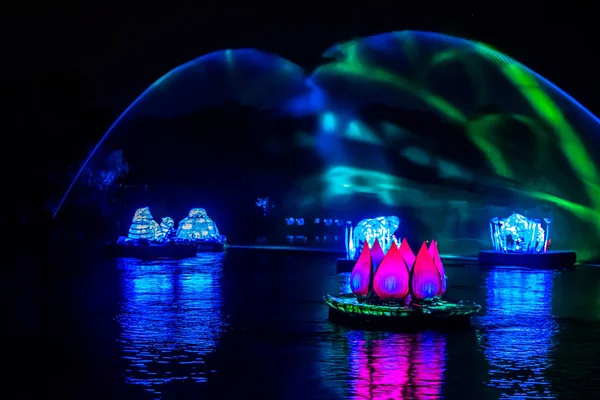 Orlando Florida December 2019 Rivers Light Show Animal Kingdom — Stockfoto