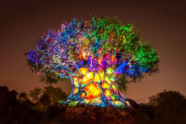 Orlando, Florida. 16 Aralık 2019. Animal Kingdom 'da Noel mevsiminde Yaşam Ağacı Uyanışı (132).
