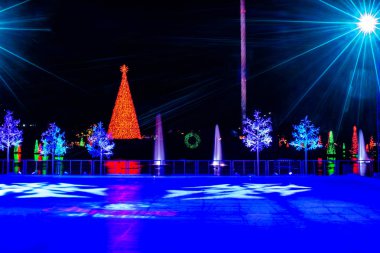 Orlando, Florida. 21 Aralık 2019. Seaworld 'de kısmi buz pateni pisti ve renkli Noel Ağacı manzarası (38))