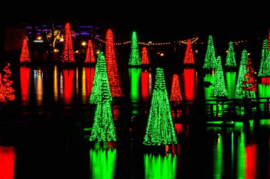 Orlando, Florida. 21 Aralık 2019. Renkli Tatil Ağaçları Seaworld gölüne yansıdı (7)).