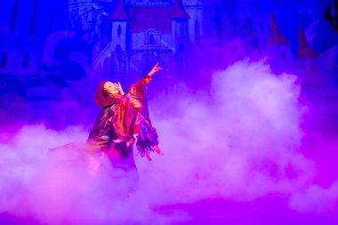 Orlando, Florida. January 03, 2020, Beauty and the Beast Live on Stage at Hollywood Studios (186)