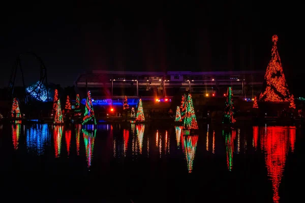 Orlando Florida Dicembre 2019 Mare Illuminato Colorato Alberi Natale Vista — Foto Stock