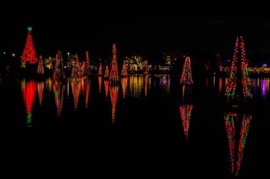 Orlando, Florida. 29 Aralık 2019. Deniz Dünyası 6 'daki Aydınlanmış ve renkli Noel Ağaçları Denizi