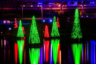Orlando, Florida. 30 Aralık 2019. Seaworld 2 'de aydınlatılmış Noel ağaçları