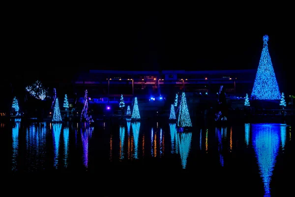 Orlando Floride Décembre 2019 Mer Illuminée Colorée Arbres Noël Vue — Photo