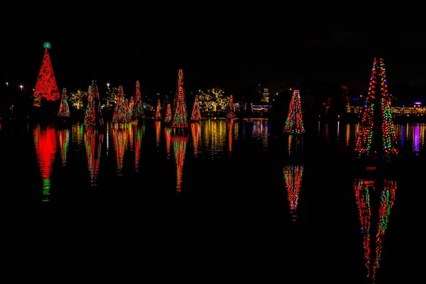 Orlando Floride Décembre 2019 Mer Illuminée Colorée Arbres Noël Seaworld — Photo