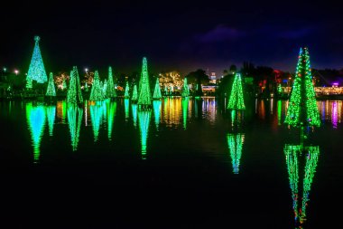 Orlando, Florida. 29 Aralık 2019. Deniz Dünyası 12 'deki Aydınlatılmış ve renkli Noel Ağaçları Denizi