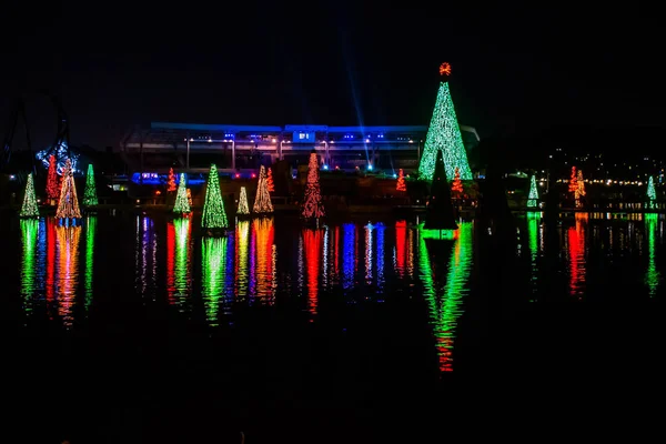 Orlando Florida Dicembre 2019 Mare Illuminato Colorato Alberi Natale Vista — Foto Stock