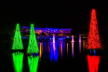 Orlando, Florida. 30 Aralık 2019. Seaworld 5 'te Noel mevsiminde Ağaçlar Denizi
