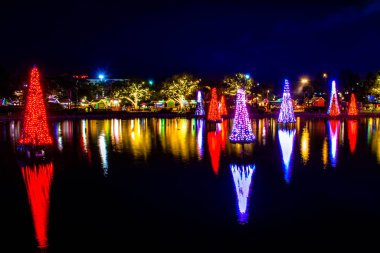 Orlando, Florida. 30 Aralık 2019. Seaworld 8 'de Noel mevsiminde Ağaçlar Denizi