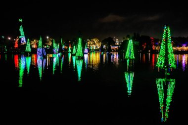 Orlando, Florida. 31 Aralık 2019. Deniz Dünyası 1 'deki Aydınlatılmış ve renkli Noel Ağaçları Denizi