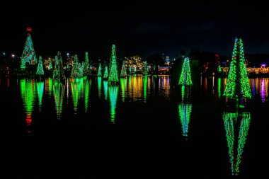 Orlando, Florida. 31 Aralık 2019. Deniz Dünyası 13 'teki Aydınlatılmış ve renkli Noel Ağaçları Denizi