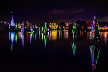 Orlando, Florida. 31 Aralık 2019. Deniz Dünyası 23 'teki Aydınlatılmış ve renkli Noel Ağaçları Denizi