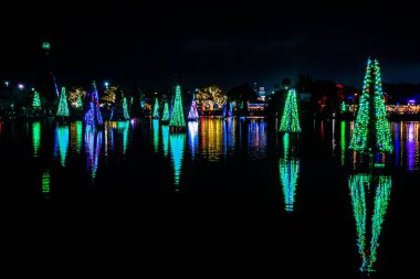 Orlando, Florida. 31 Aralık 2019. Deniz Dünyası 31 'deki Aydınlatılmış ve renkli Noel Ağaçları Denizi
