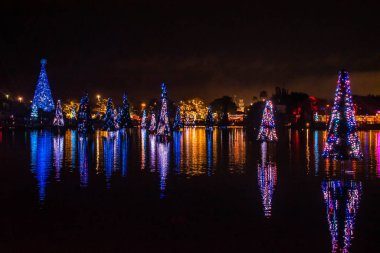 Orlando, Florida. 31 Aralık 2019. Deniz Dünyası 39 'daki Aydınlanmış ve renkli Noel Ağaçları Denizi.