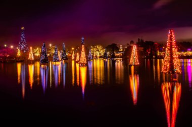 Orlando, Florida. 31 Aralık 2019. Deniz Dünyası 42 'deki Aydınlatılmış ve renkli Noel Ağaçları Denizi