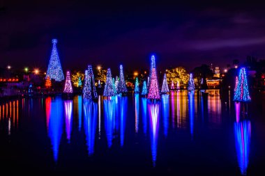 Orlando, Florida. December 31, 2019. Illuminated and colorful Sea of Christmas Trees at Seaworld 48.
