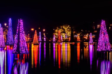 Orlando, Florida. December 31, 2019. Illuminated and colorful Sea of Christmas Trees at Seaworld 49.