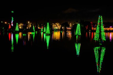 Orlando, Florida. December 31, 2019. Illuminated and colorful Sea of Christmas Trees at Seaworld 55