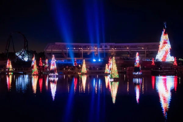 Orlando Florida December 2019 Belysta Och Färgglada Hav Julgranar Med — Stockfoto