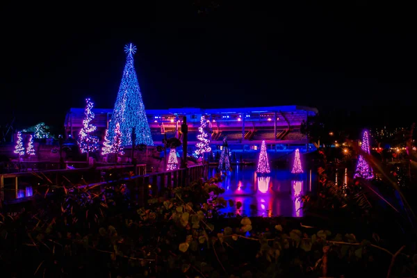 Orlando Florida December 2019 Illuminated Christmas Trees Bayside Stadium Seaworld — Stock Photo, Image