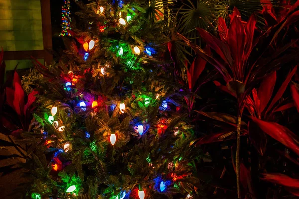 Orlando Florida December 2019 Illuminated Christmas Tree Seaworld — Stock Photo, Image