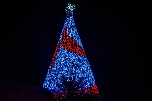Orlando Florida December 2019 Top View Colorful Christmas Tree Seaworld — Stock Photo, Image
