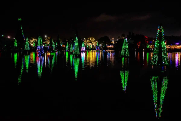 Orlando Florida December 2019 Upplysta Och Färgglada Hav Julgranar Vid — Stockfoto