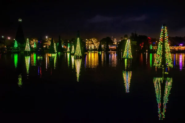 Orlando Florida December 2019 Belysta Och Färgglada Hav Julgranar Vid — Stockfoto