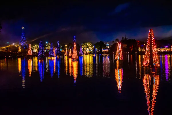 Orlando Florida December 2019 Illuminated Colorful Sea Christmas Trees Seaworld — Stockfoto