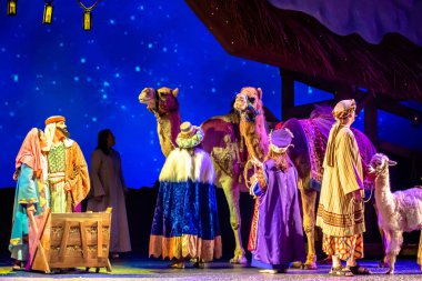 Orlando, Florida. December 30, 2019. O Wondrous Night Show is a greatest story with carols, puppets and live animals.at Seaworld (107).