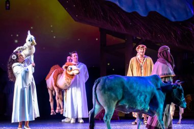 Orlando, Florida. December 30, 2019. O Wondrous Night Show is a greatest story with carols, puppets and live animals.at Seaworld (210)