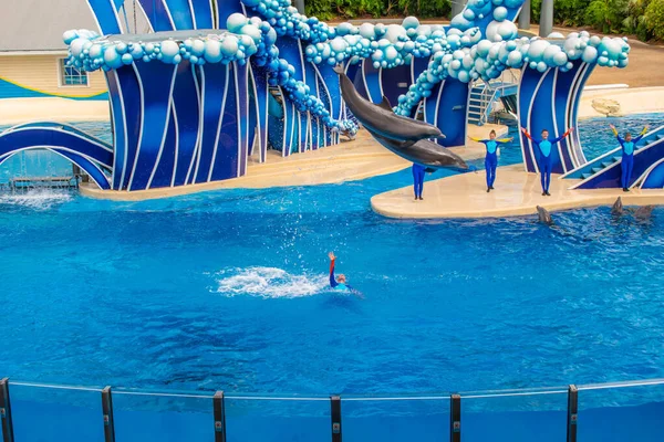 Orlando Florida Februar 2020 Spektakulärer Delfinsprung Bei Seaworld — Stockfoto