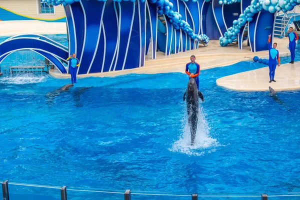 Orlando Florida Febrero 2020 Espectacular Salto Entrenador Con Delfín Seaworld — Foto de Stock