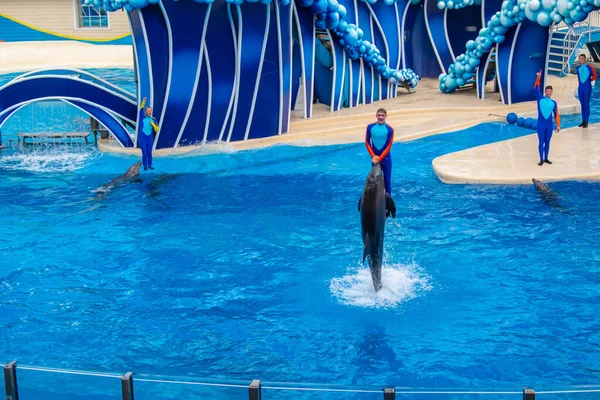 Orlando Florydzie Lutego 2020 Spektakularny Skok Trenera Delfinem Seaworld — Zdjęcie stockowe