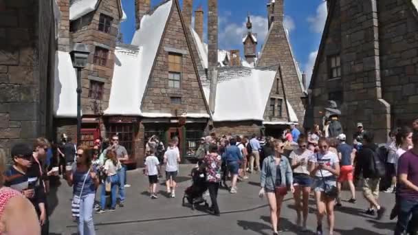 Orlando Florida Marzo 2020 Gente Caminando Mundo Mágico Harry Potter — Vídeo de stock