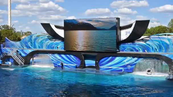 フロリダ州オーランド 2020年2月28日 海の世界でOrca出会いの水中カーテンの下でキラークジラ Seaworld — ストック動画