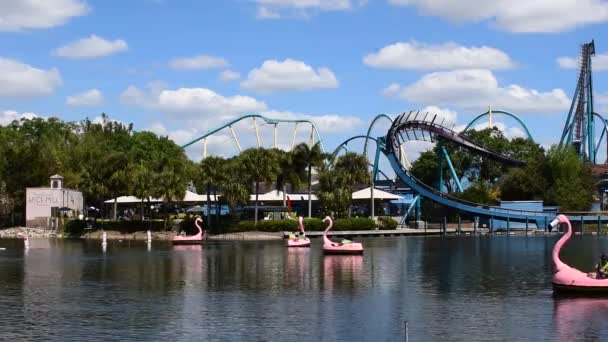 Orlando Florida Şubat 2020 Nsanlar Seaworld Flamingo Yüzgeçli Tekneler Mako — Stok video