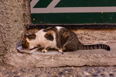 Cinque Terre Doğa Koruma Alanı ve La Spezia, İtalya 'da renkli evleri olan küçük kasabalar.